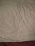 洁丽雅（Grace）纤维枕 星级酒店枕头枕芯 46*72cm 一对装（2只装） 实拍图