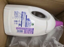 滴露（Dettol）衣物消毒液 薰衣草3L 99.9%杀菌除螨内衣儿童衣物除菌液配洗衣液 实拍图