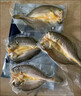 鲜京采宁德黄鱼鲞4条/2斤(单条235-255g)三去处理鱼类 地标 源头直发 实拍图