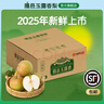 隰县玉露香梨 【顺丰现货】整箱香梨当季水果山西隰县小西天特产 孕妇水果送礼 9粒大果（净重5-6斤）单果80+mm 实拍图