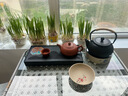 万家全铸铁壶煮茶器围炉煮茶壶煮水泡茶烧水壶铁质功夫茶具电陶炉煮茶器 1200ml铁壶+不锈钢滤网 1200ml 实拍图