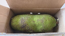 京鲜生海南菠萝蜜整个16-19斤 净重16斤生鲜水果 源头直发 实拍图