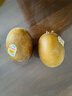 佳沛（zespri）新西兰 阳光金奇异果12粒礼盒特大果单果约122-146g 猕猴桃 水果 实拍图