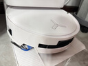 科沃斯T80S扫地机器人扫拖洗烘一体自动清洗滚筒洗地机器人热水洗拖布DEX62国家补贴 实拍图