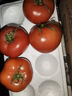 京鲜生沙瓤粉西红柿 净重3斤 单果100g+果菜两吃 源头直发 【搜生鲜馆】 实拍图