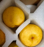 京觅辽宁鞍山南果梨4.5斤单果100g+香水梨应季新鲜水果源头直发 实拍图