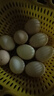 谷物鲜鸡蛋 农户散养新鲜鸡蛋 单枚40g±5 10枚（40克/枚） 实拍图
