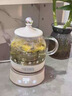 膳魔师（THERMOS） 迷你养生壶办公室煮茶器电水壶恒温电热水壶玻璃花茶壶养生杯 礼物 七夕情人节礼物 EHA-1602E-G(本白色） 0.55L 实拍图