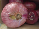 山东特产水果扁洋葱甜瓜口感红皮扁葱头生吃脆甜蘸酱好吃粉嫩 紫皮洋葱大果带箱 3斤 精选 实拍图