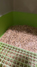 爱丽思IRIS 松木猫砂混合猫砂 5L/2.8kg 实拍图