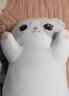 捉趣（ZHUOQU）猫咪抱枕公仔毛绒玩具女孩长条布玩偶冰丝睡觉抱枕送女生生日礼物 哈士奇【独立内胆】 全长约130cm 实拍图