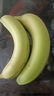 高山香蕉广西产地直发薄皮青果软糯香甜自然熟当季新鲜采摘纯天然 高山香蕉250克（2-3根） 实拍图