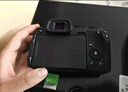 佳能（Canon）EOS RP 全画幅微单数码相机 24-105标准镜头套装 （约2620万像素/轻巧便携） 实拍图