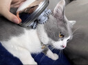 宜品达猫咪头部按摩器电动智能按摩仪挠痒互动下巴蹭痒撸猫神器宠物玩具 白色全防水-GX-608头部按摩器 【升级可拆洗硅胶按摩头】 实拍图