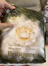 babycare金山茶花婴儿纸尿裤mini装XL18片(12-17kg)尿不湿【新老混发】 实拍图