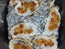 鲜京采 鲜活生蚝3XL 净重5斤 13-18只 鲜活到家 生鲜海鲜 源头直发 实拍图