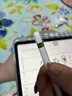 苹果Apple Pencil 一代/二代 苹果手写笔二手苹果手写笔/电容笔/触控笔二手平板电脑配件 苹果Pencil 一代手写笔 单笔【99新】 实拍图