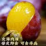 京地达西梅新疆法兰西西梅李子大果重3斤单果20g+水果礼盒源头直发包邮 实拍图