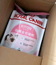 皇家幼猫奶糕 幼猫猫粮 BK34 通用粮 1-4月 2KG 实拍图