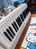 特伦斯折叠钢琴88键便携式电钢琴成人儿童电子琴重力度键盘V30pro钢琴 时尚白+专用琴包+Z琴架 实拍图