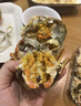【活蟹】湖鲜阳澄大闸蟹公4.7-5.0两 母3.6-3.9两4对8只现货水产送礼螃蟹海鲜礼盒装 实拍图