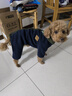 BOBOCOLA狗狗衣服秋冬季保暖加厚四脚狗衣服泰迪比熊雪纳瑞小型犬宠物衣服 藏青色 XL【建议11-15斤】 实拍图