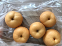 京鲜生 长城羊脂秋月梨 稀缺梨王 净重8斤5-7粒 550g+ 生鲜水果礼盒 实拍图