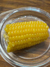 京鲜生 东北黄玉米净重3.6斤 8根*220g+ 真空包装加热即食 源头直发 实拍图
