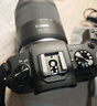 佳能（Canon）EOS RP 全画幅微单数码相机 24-105标准镜头套装 （约2620万像素/轻巧便携） 实拍图