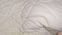 神气小鹿泡芙被Pro春秋被子冬被芯A类单双人宿舍被子深睡被褥四季被芯加厚 泡芙被-春秋被丨远红外发热+可机洗 奶油咖(室温＞12℃) 200*230cm-7A级抗菌【双人适用】 实拍图