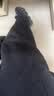 FILA潮牌加绒长裤女士针织时尚宽松休闲裤抓绒暖绒亲肤 实拍图