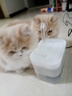 HELLOJOY宠物猫咪饮水机流动水静音猫饮水器喝水器自动循环猫狗喂水 白色 实拍图