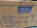 牧羊人纯山羊奶250ml*24盒新鲜脱膻 经典款家庭量贩装 营养早餐羊奶  实拍图