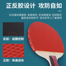 红双喜SH横直对拍01初学者训练比赛乒乓球拍横直套装+乒乓球 实拍图