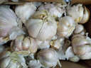 精选新鲜山东大蒜干蒜多瓣蒜头蔬菜批发产地直发大蒜头 优选 3斤 (果径≥3.5cm) 实拍图