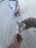 皇家成猫猫粮 营养均衡 F32 通用粮 1-7岁 2KG 实拍图