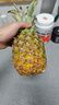 京鲜生 海南金钻凤梨  2个装 单果2斤起  生鲜水果 实拍图