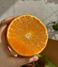 京鲜生 爱媛果冻橙 10斤装 单果150g起 生鲜水果桔子礼盒 实拍图