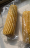 十月稻田 黄糯玉米 3.52斤(220g*8根) 25年新玉米 东北玉米 早餐 低脂粗粮 实拍图