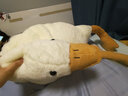 伊美娃娃大白鹅抱枕毛绒玩具大鹅玩偶公仔布娃娃夹腿睡觉抱生日礼物送女生 胖版1.3米【送同款45cm】 送礼·挑我就OK 实拍图