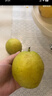 京鲜生 新疆特级库尔勒香梨 净重5斤单果120g以上 生鲜水果 实拍图