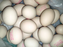 德青源无抗富硒鲜鸡蛋30枚3斤 鸡蛋京东自营礼盒装 营养早餐礼盒装 实拍图