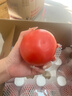 京鲜生 山东海阳普罗旺斯净重4.5斤单果150g起新鲜沙瓤西红柿源头直发 实拍图