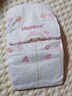 好奇（Huggies）铂金装小桃裤纸尿裤L120片(9-14kg)大号尿不湿【透爽散热】 实拍图