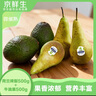 京鲜生微催熟 啤梨500g+牛油果500g   生鲜水果 源头直发 实拍图