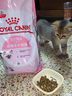 皇家幼猫奶糕 幼猫猫粮 BK34 通用粮 1-4月 2KG 实拍图