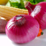 京鲜生 甘肃紫红皮洋葱净重5斤单果200g+ 现挖新鲜蔬菜 源头直发包邮 实拍图