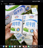 伊利纯牛奶整箱 250ml*24盒 优质乳蛋白 严选牧场 礼盒装 8月底产 实拍图