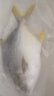 翔泰 海南深海金鲳鱼2.4斤/3-4条净重 BAP认证 生鲜鱼类 海鲜水产  实拍图
