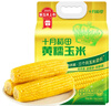 十月稻田 黄糯玉米 3.52斤(220g*8根) 25年新玉米 东北玉米 早餐 低脂粗粮 实拍图